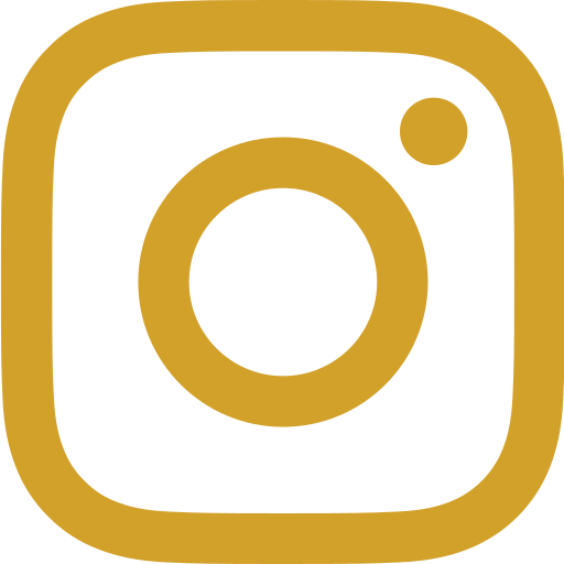 instagram (1)